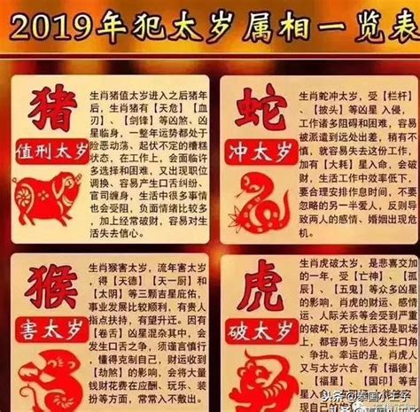 乙巳年生肖|2025乙巳蛇年哪些生肖犯太歲？明年運勢、禁忌、最佳化解時間。